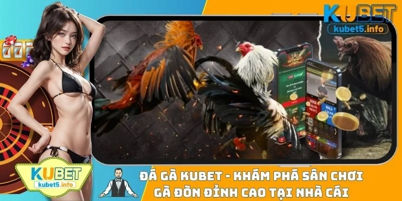 Đá Gà KUBET88 - Khám Phá Sân Chơi Gà Đòn Đỉnh Cao Tại Nhà Cái