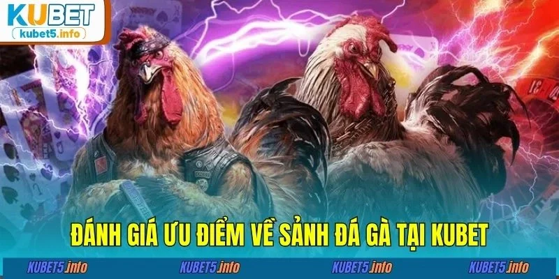 Đánh giá ưu điểm về sảnh đá gà tại KUBET88
