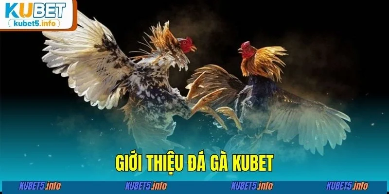 Giới thiệu đá gà KUBET88