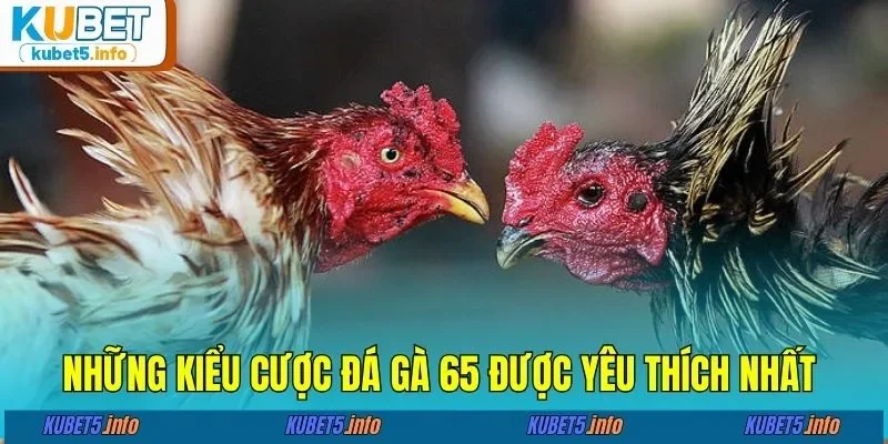 Những kiểu cược đá gà 65 được yêu thích nhất&nbsp;