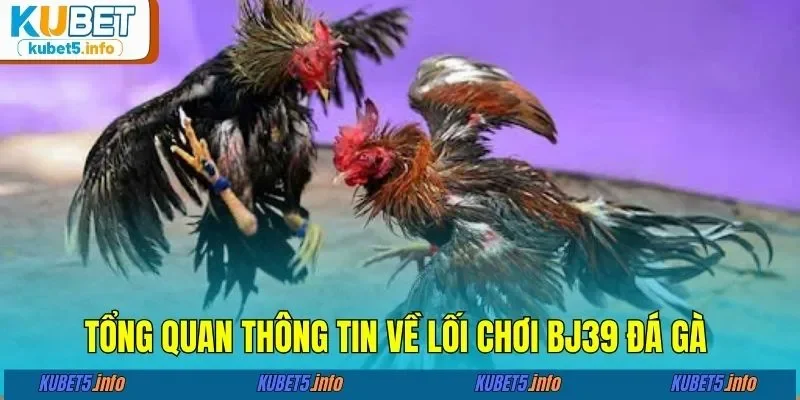 Tổng quan thông tin về lối chơi BJ39 đá gà&nbsp;